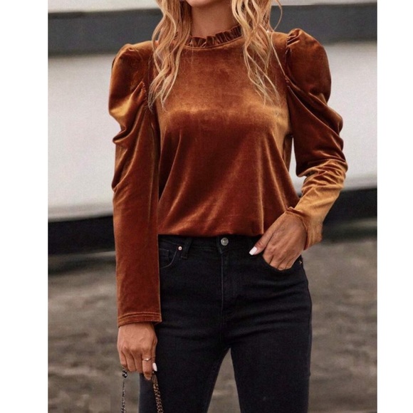 Velvet Leg-of-Mutton Sleeve Top - Picture 4 of 6